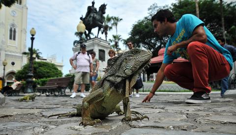 Guayaquil_parque_seminario_2