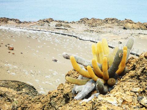 Isla_Bartolome2