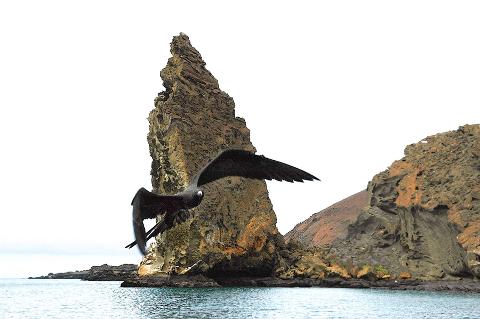 Isla_Bartolome3