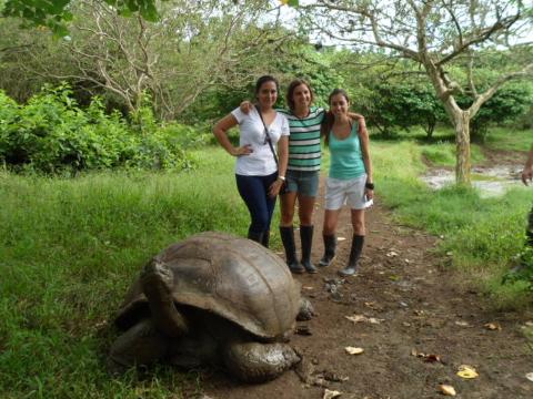 Transfer from the airport to hotel with excursions in Santa Cruz Island