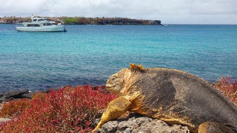 Full Day Plaza Island