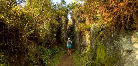 b289958787a845dabf81a467c5bd9669Floreana_trail