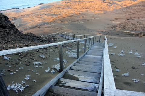 Full Day Bartolome Island