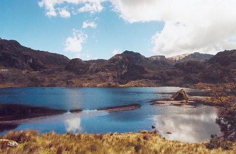 Shared Cajas National Park Full Day Tour
