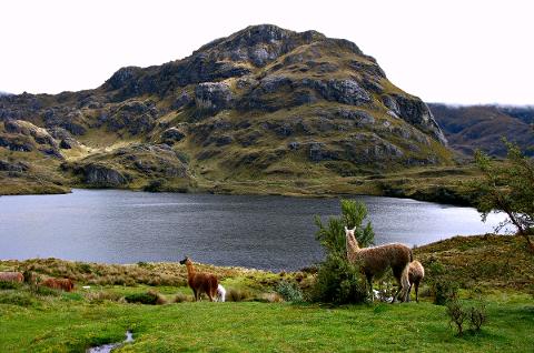cajas_3