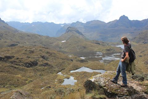 Shared Cajas National Park Half-Day Tour from Cuenca