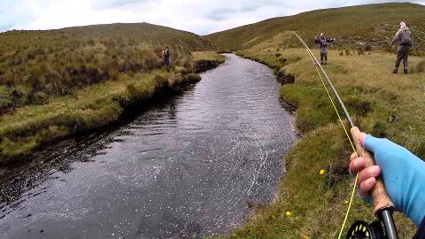 Private Fishing Full-Day Tour in Cajas National Park from Cuenca