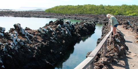 d02dd24db5684ad5a19620c59c17ba7etintoreras_galapagos