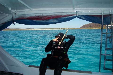 diving_pitt