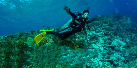 divingg