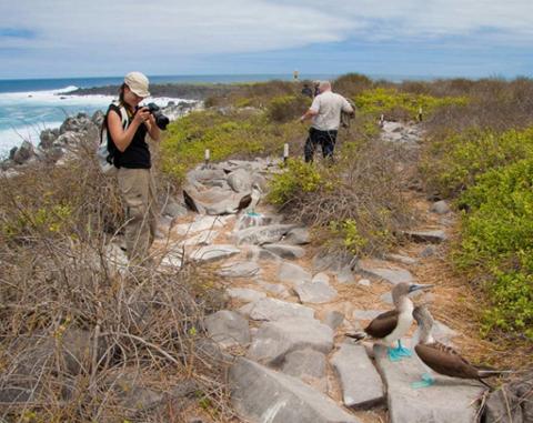 f8ae413b2a0e459798b6dcf87fa13810north_seymour_island_galapagos4_1024x812