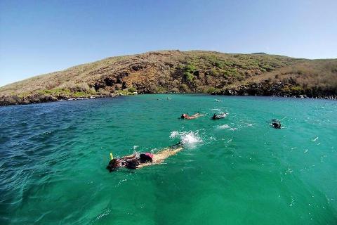 Full-Day Tour with Lunch to Santa Fe Island and Playa Escondida