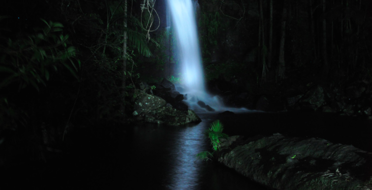 Southern Cross Glow Worm Tour