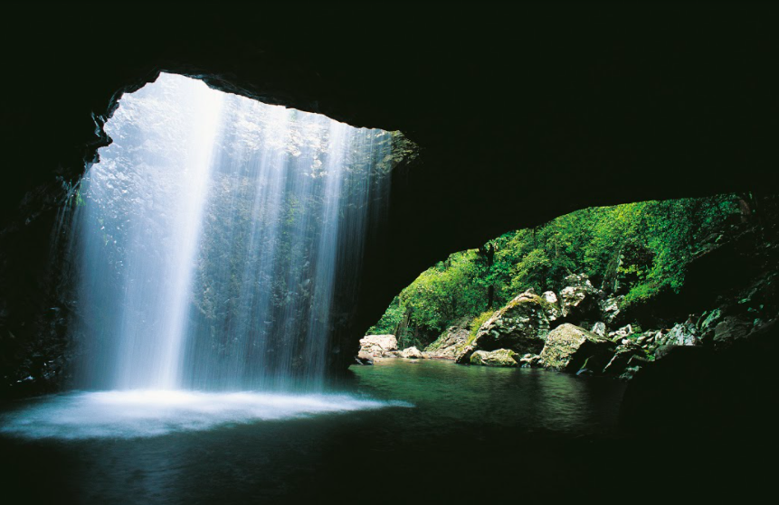 Southern Cross Natural Bridge/ Springbrook Tour