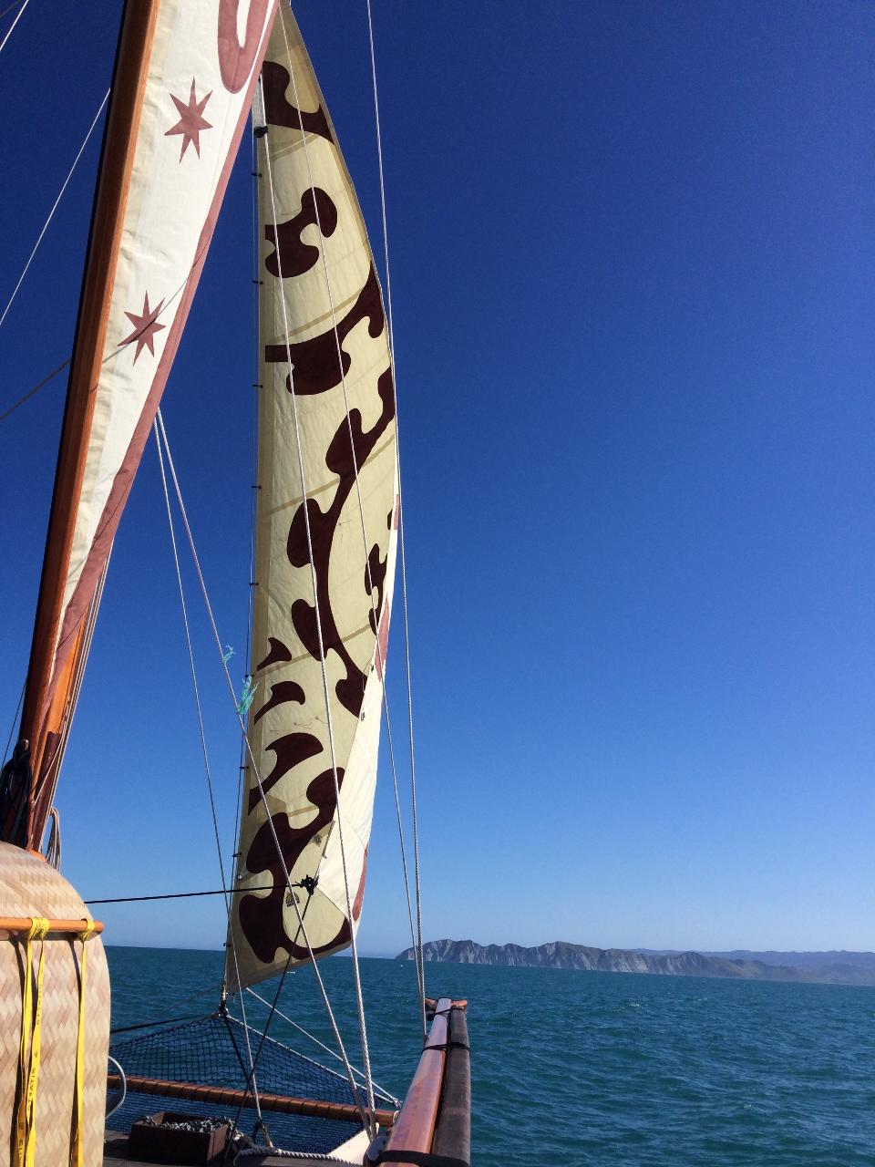 sailing experience - must do new zealand reservations