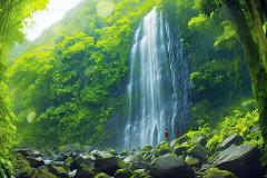 Scheduled Waikiki To Waterfall Hike Shuttle