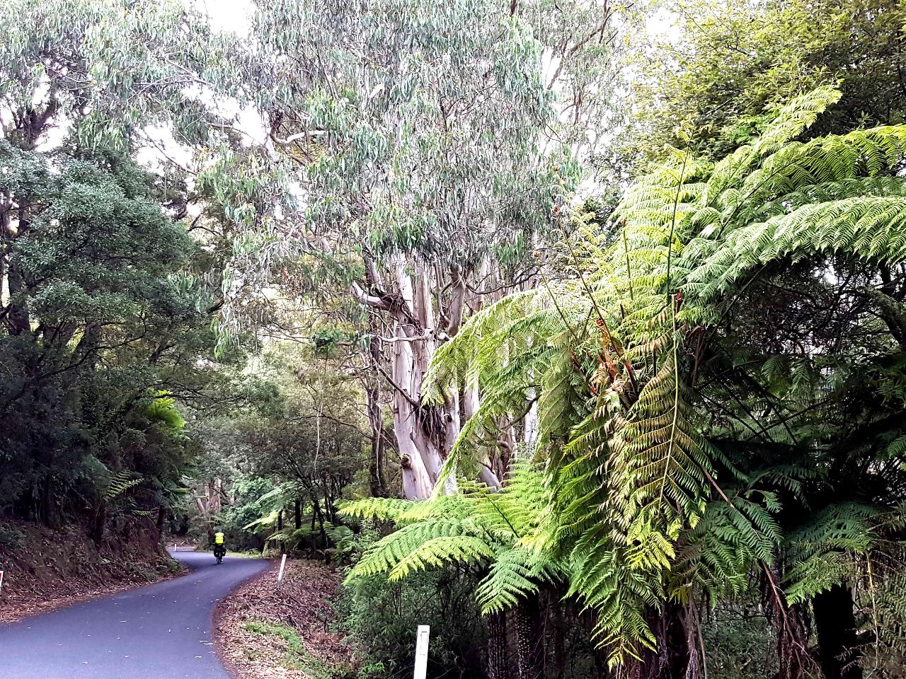 Grand Gippsland Cycle Tour 19D 18N