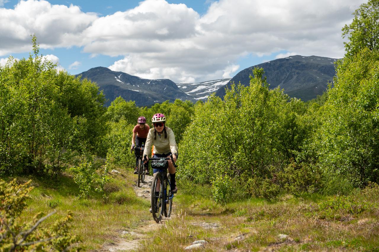 Norway Gravel: From Peaks to Fjords