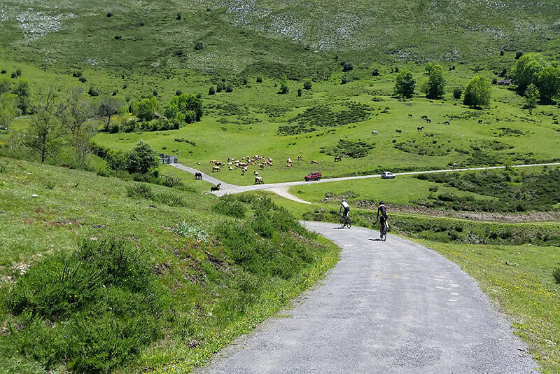 Tour of the Basque Country