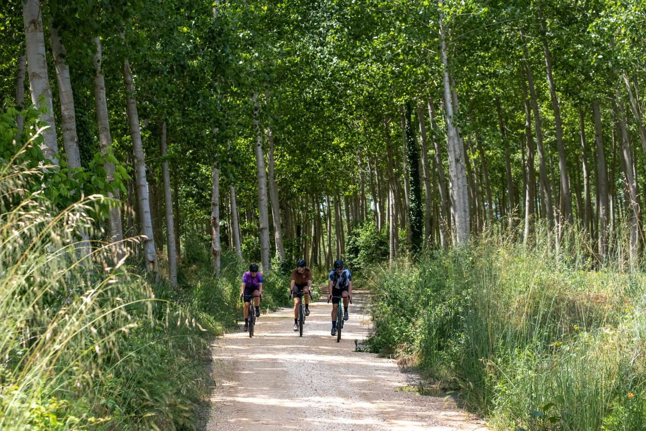 Girona Traka Gravel Experience