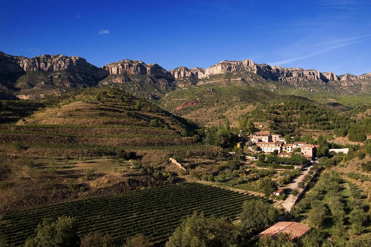 Priorat & Penedès Wine & Cycling Tour Self-Guided