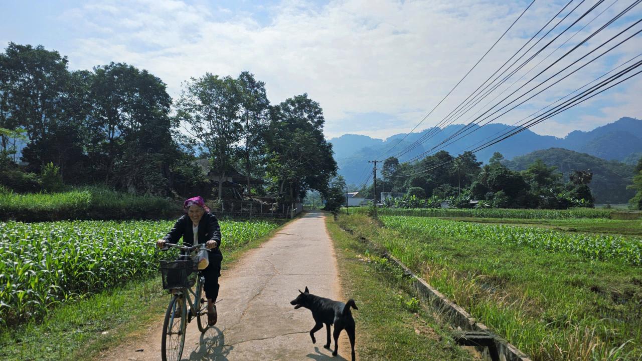 Vietnam Gravel South: Hoi An to Saigon