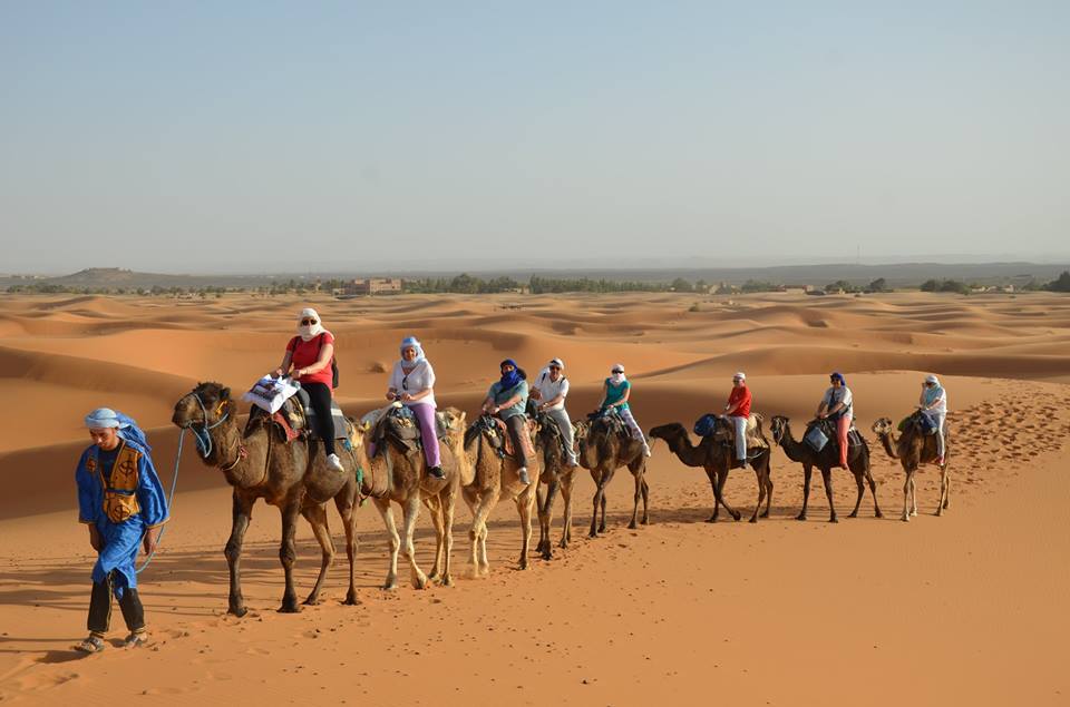 Gulf Tours - Camel Trekking in RAK