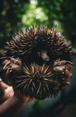 Wildlife Park Tour 