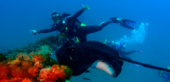 Yongala Day Trip – Certified Diver