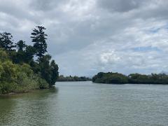 tweed rainforest river cruise