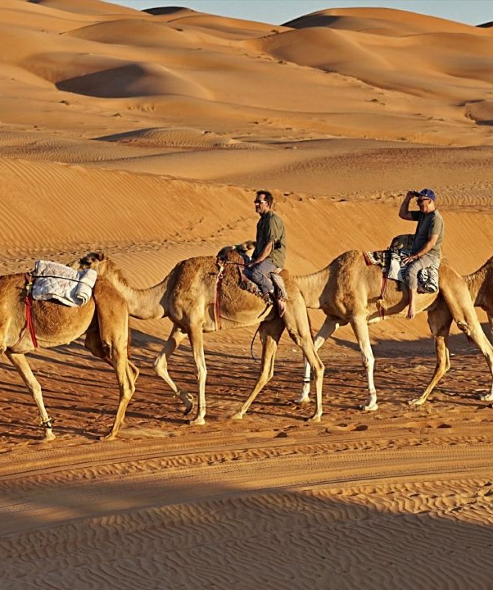 Bediyah: Kamelsafari durch die Wüste Wahiba Sands