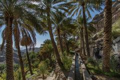  From Alilah, Anantara or Nizwa - Oman Trekking | Hiking Jebel Akhdar