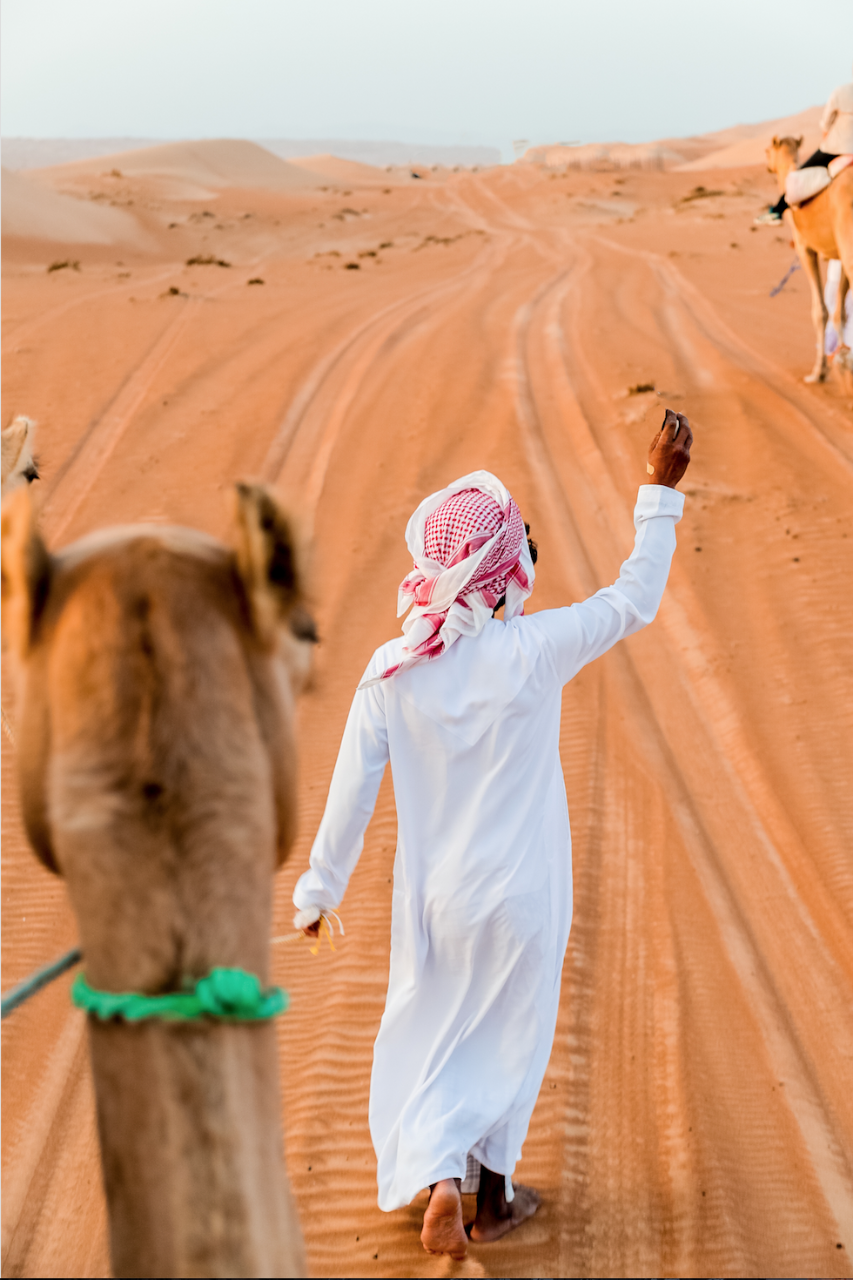 ODPC Camel ride tour with Bedouin