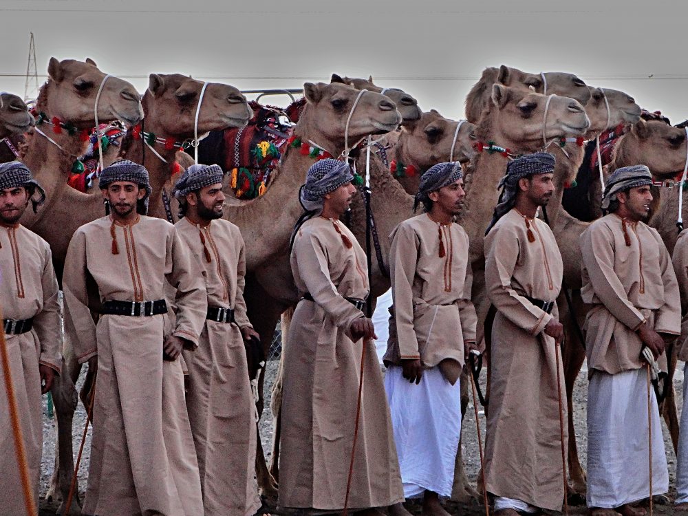 camel race in Oman