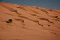 From Muscat: Safari with Overnight Stay in Desert Camp