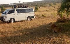 7 Days 4 Nights Masaimara  Amboseli Safari