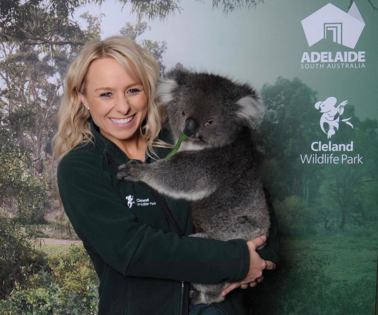 Should You Cuddle a Koala?