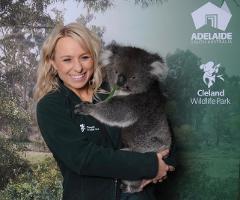 Daily Koala Hold