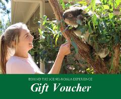 GIFT VOUCHER - Behind The Scenes Koala Experience