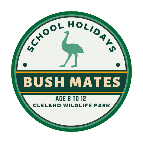 BUSH MATES - 8 to 12 years