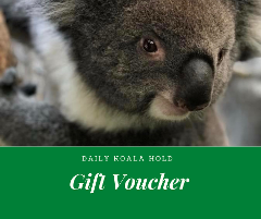 GIFT VOUCHER - Daily Koala Hold