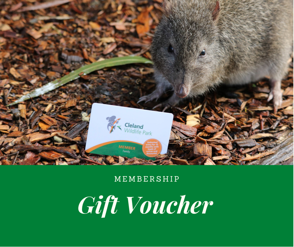 GIFT VOUCHER - Membership