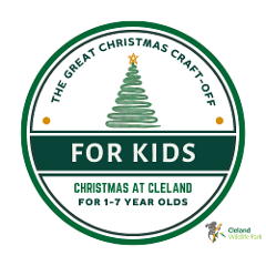 The Great Christmas Craft-Off 