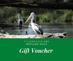 GIFT VOUCHER - Pelican Feed and Wetland Walk