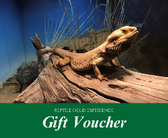 GIFT VOUCHER - Reptile Hold