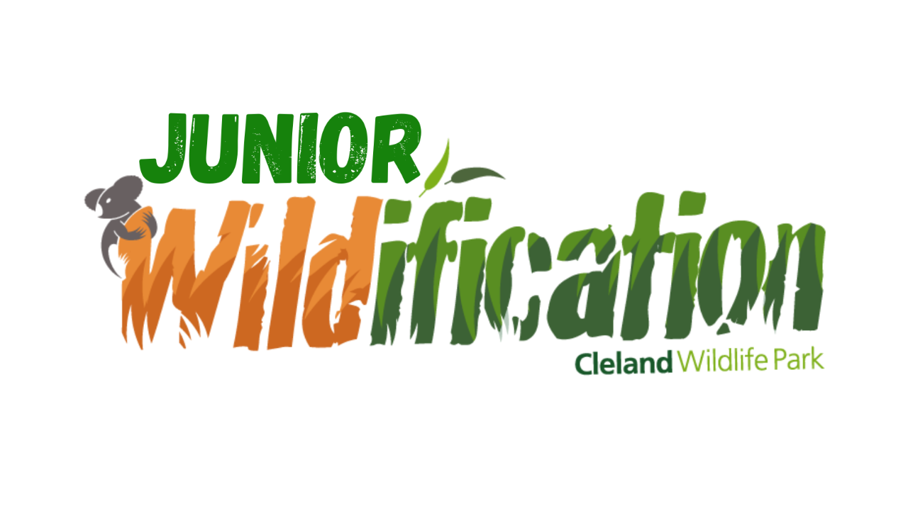 Junior WILDIFICATION - 5 to 7 years