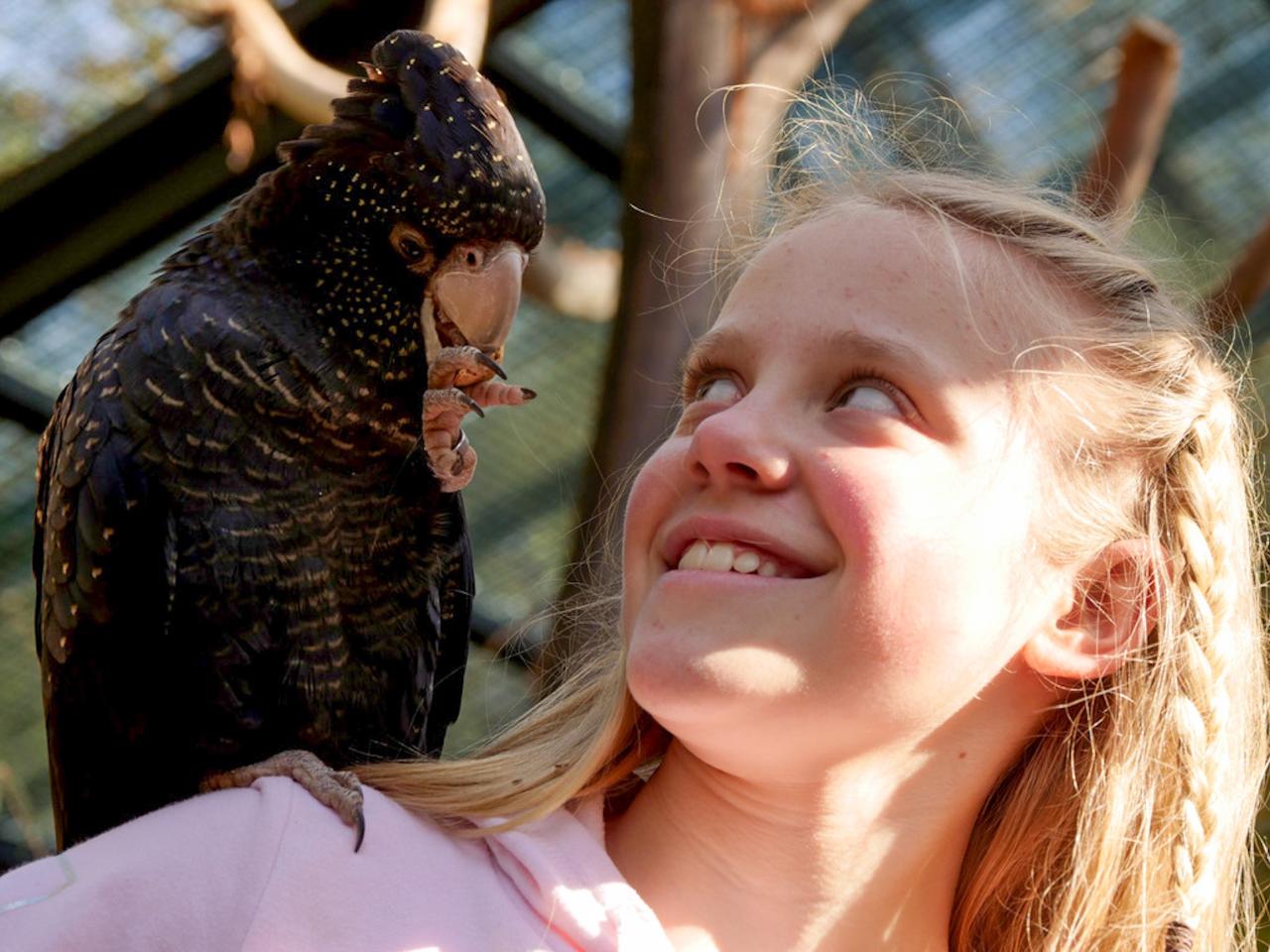 Cockatoo Experience Cleland Wildlife Park Reservations