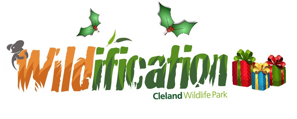 WILDIFICATION - Christmas Mayhem in Nature