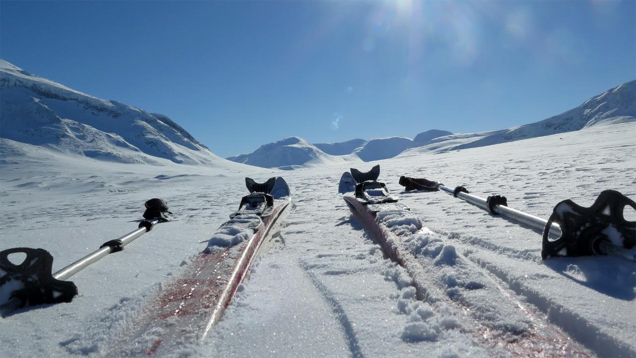 Laponia ski tour
