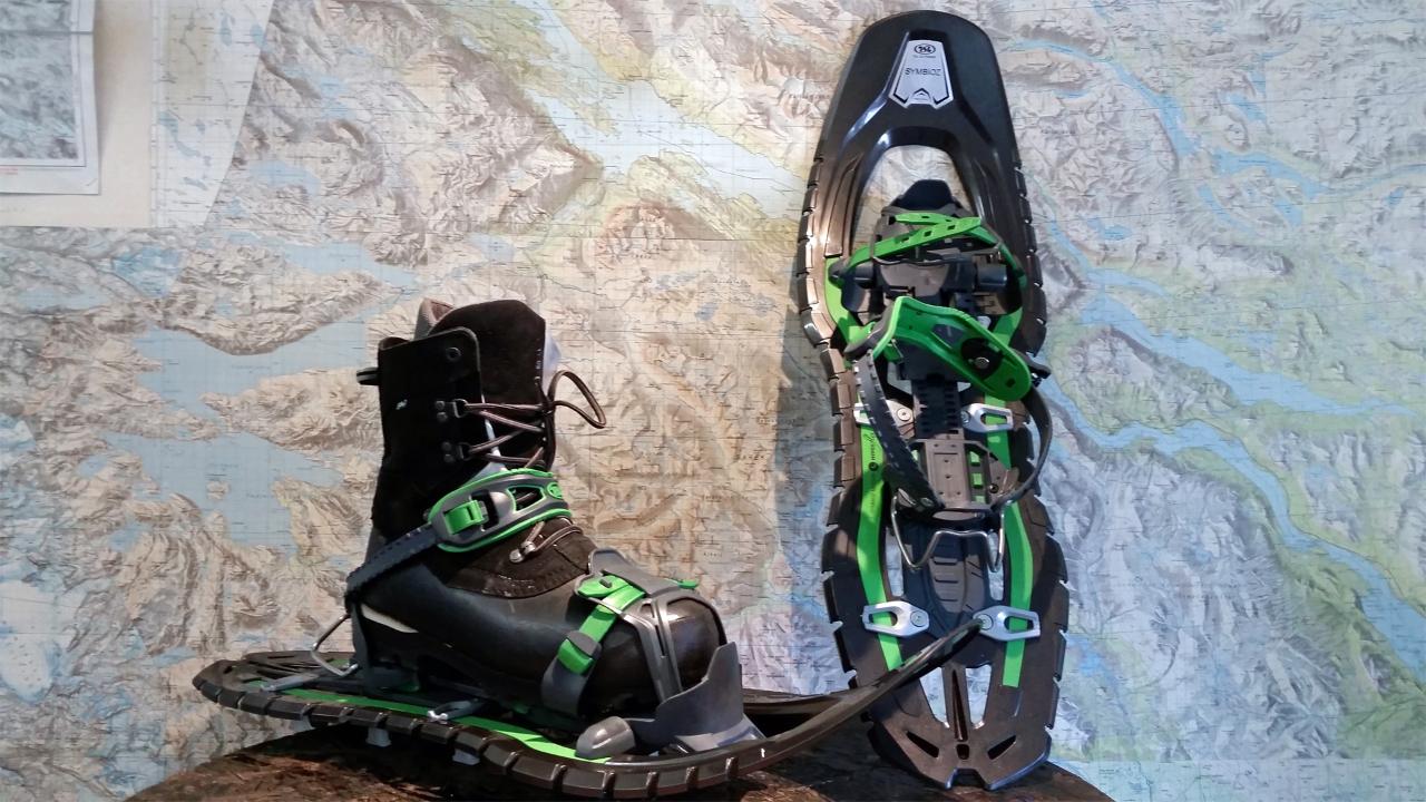 Snowshoes ink poles